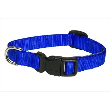 SASSY DOG WEAR Sassy Dog Wear SOLID BLUE XS-C Nylon Webbing Dog Collar; Blue - Extra Small SOLID BLUE XS-C